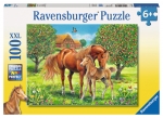 Puzzle Pferdeglück auf Wiese