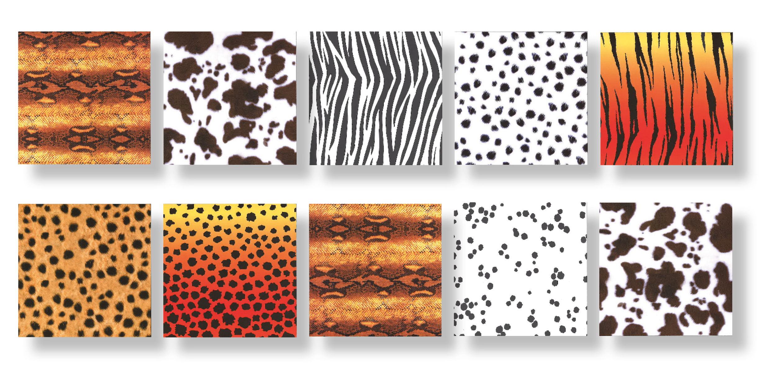 Motivkartonsortiment Tierfelle