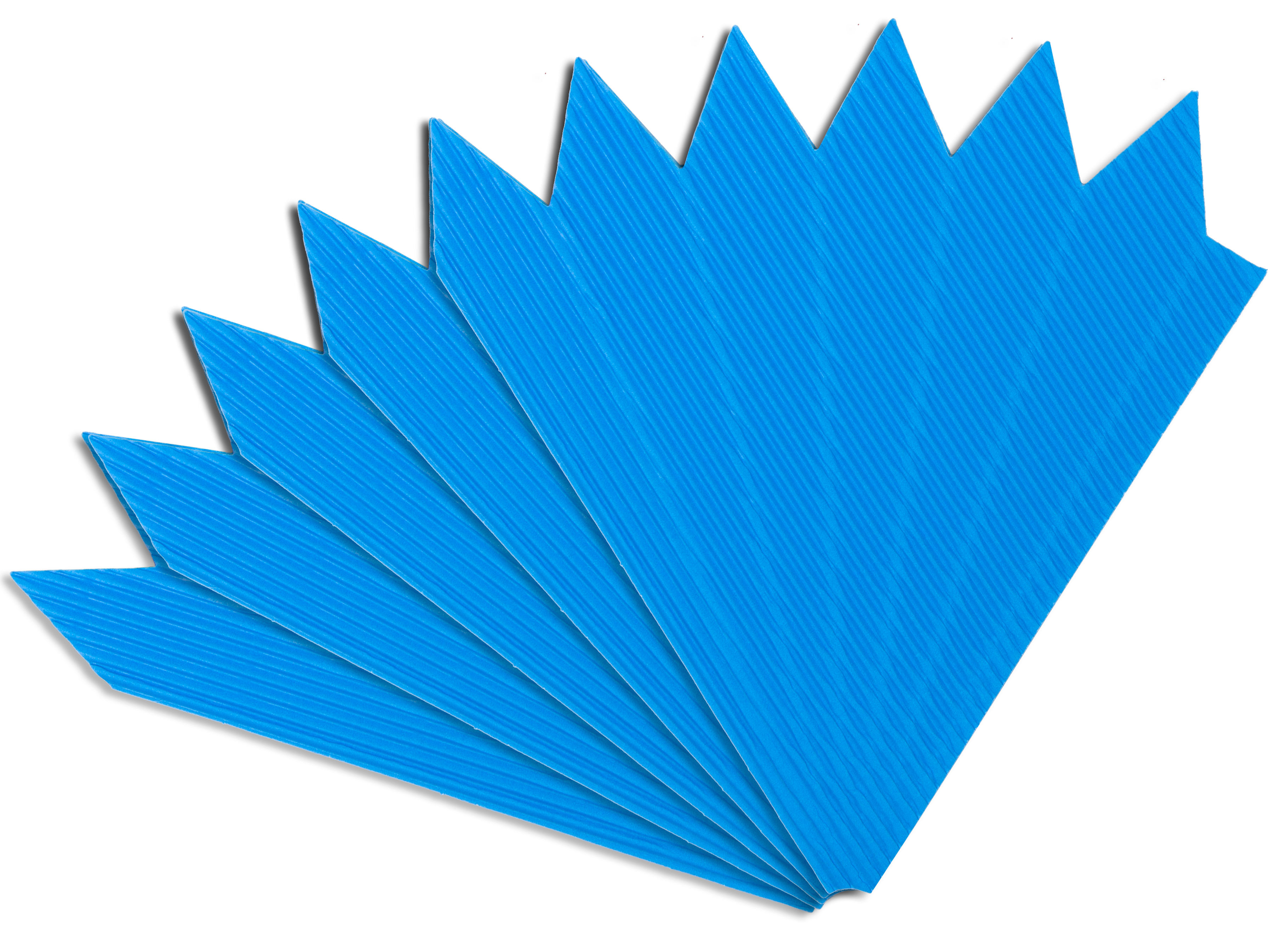 Schultütenspitzen pazifik, 5 Stück