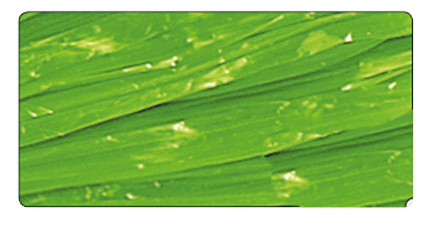 Edelbast glänzend hellgrün, 30 m