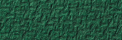 Tonkarton genarbt 220g/m² - tannengrün