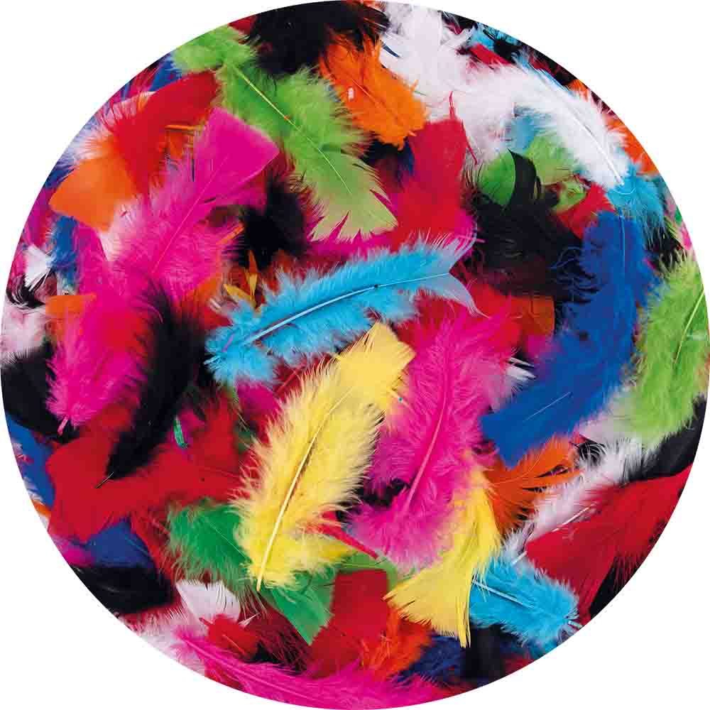 Flauschfedernsortiment intensiv, 100 g