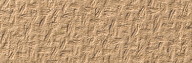 Tonkarton genarbt 220g/m² - rehbraun Tonkarton genarbt 220g/m² - rehbraun