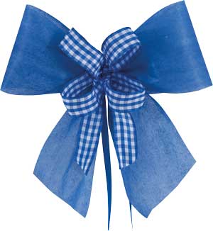 Schultütenschleife blau kariert