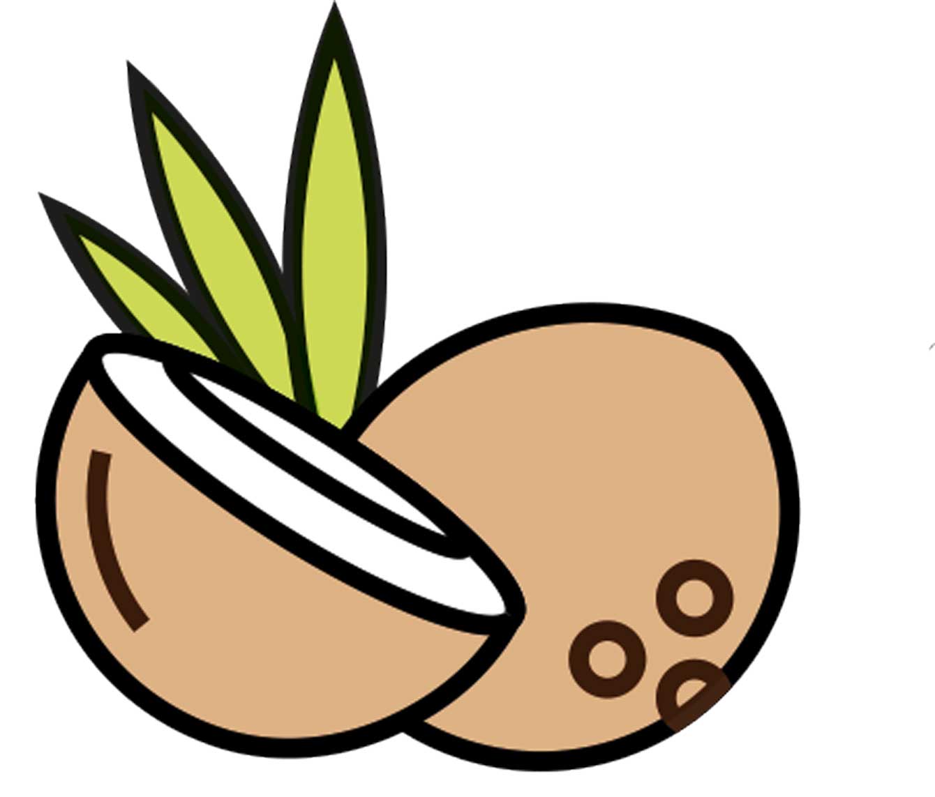 Duftöl für Seife & Badesalz Kokosmilch