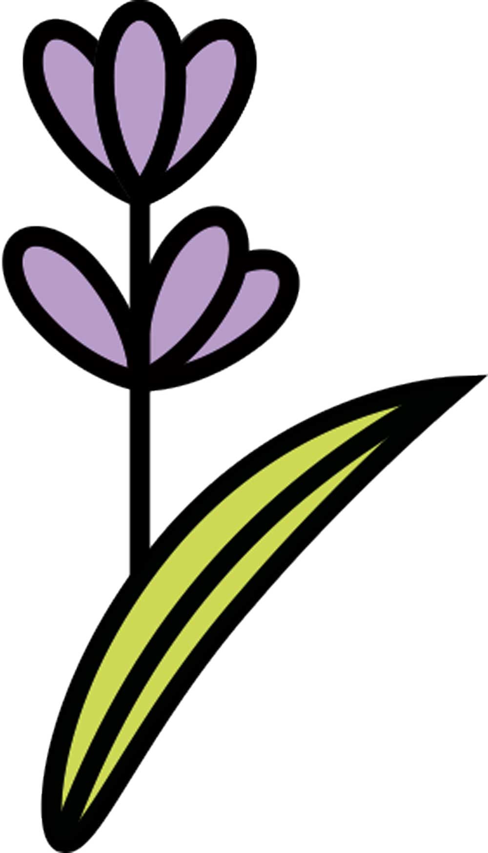 Duftöl für Seife & Badesalz Lavendel