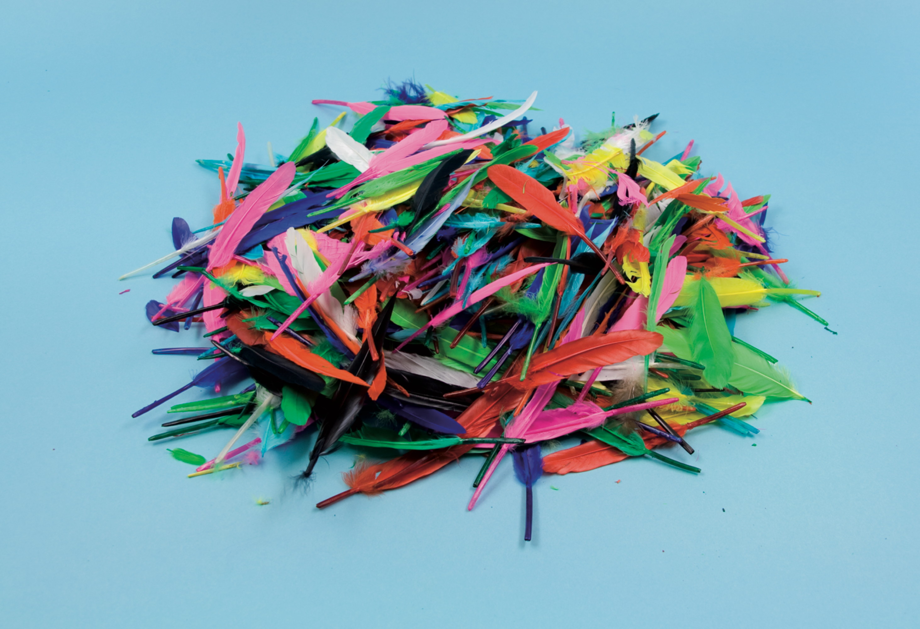 Indianerfedern Sortiment