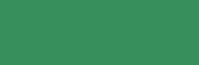 Fotokarton 300 g/m² moosgrün